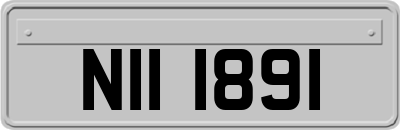 NII1891
