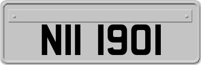 NII1901