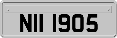 NII1905