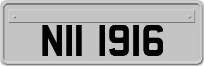 NII1916