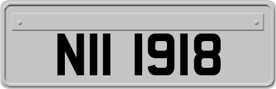 NII1918