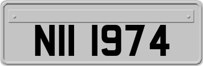 NII1974