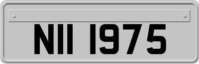 NII1975