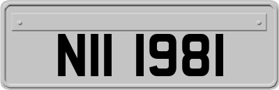 NII1981