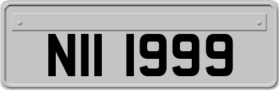 NII1999