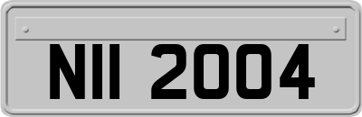 NII2004