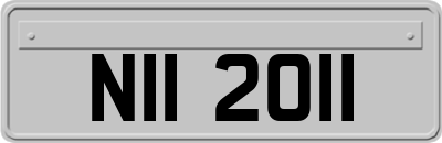 NII2011