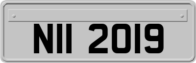NII2019