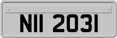 NII2031