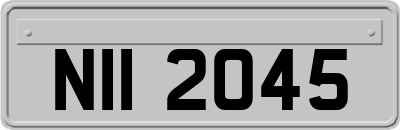 NII2045