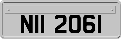NII2061