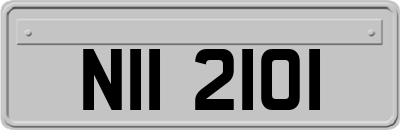 NII2101