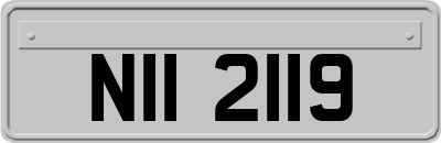 NII2119