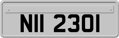 NII2301