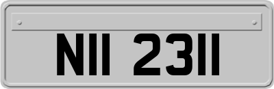 NII2311