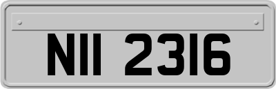NII2316