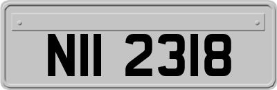 NII2318