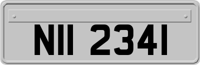 NII2341
