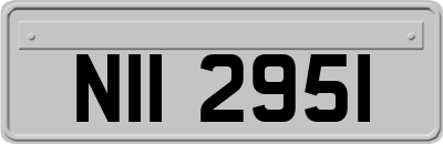NII2951