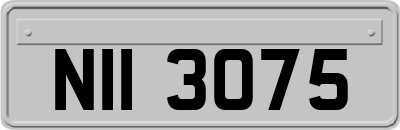 NII3075