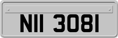 NII3081