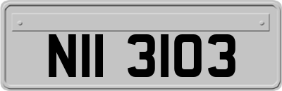 NII3103