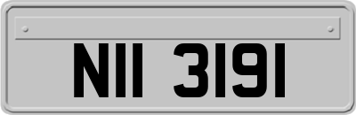 NII3191