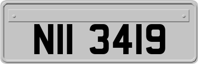 NII3419