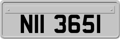 NII3651