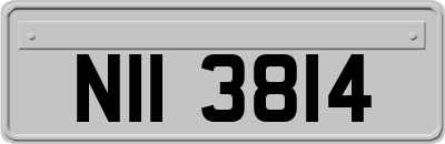 NII3814