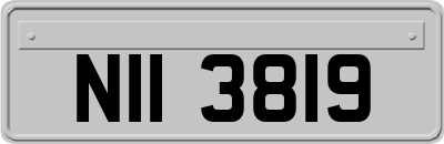 NII3819