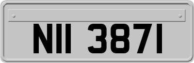 NII3871