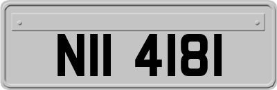 NII4181