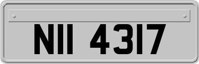 NII4317
