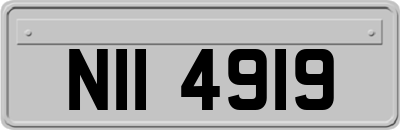 NII4919