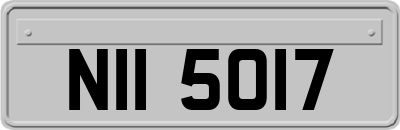 NII5017
