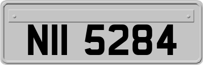 NII5284