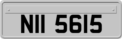 NII5615