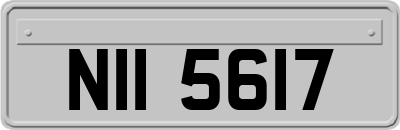 NII5617