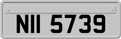NII5739