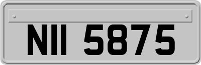NII5875