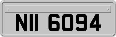 NII6094