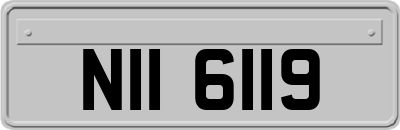 NII6119