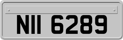 NII6289