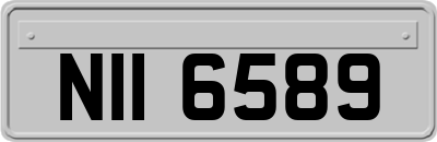 NII6589