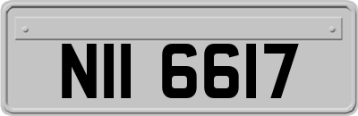 NII6617
