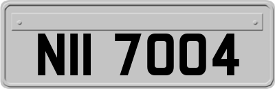 NII7004
