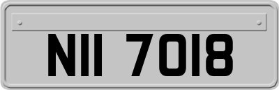 NII7018