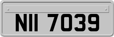 NII7039