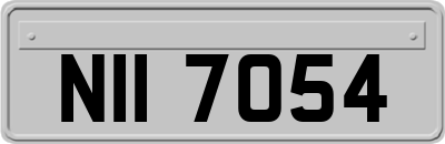 NII7054